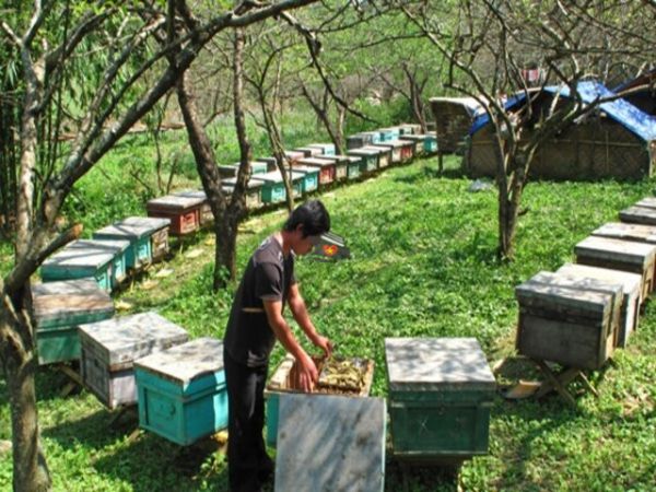 Private Half-Day Dalat Countryside Tour