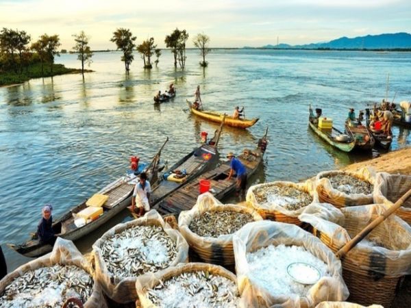 2 Days Vietnam Mekong Delta Tour