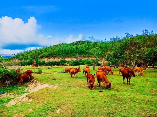 Nha Trang Photography Tour