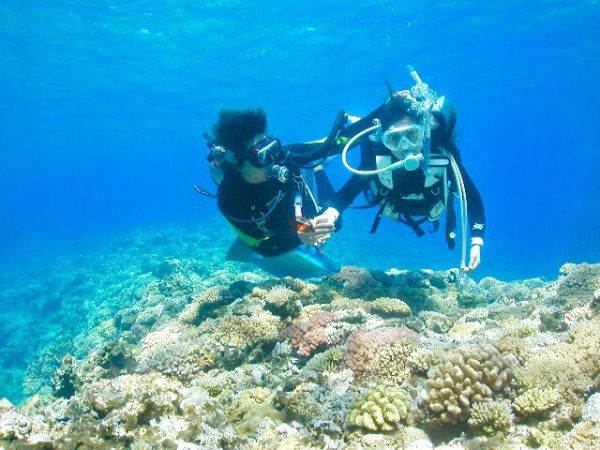 Private Nha Trang Diving Tour