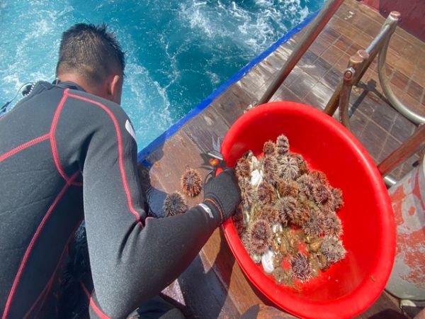 Private Nha Trang Fishing And Snorkeling Tour BBQ Onboard