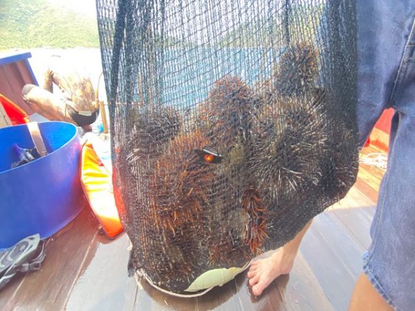 Private Nha Trang Fishing And Snorkeling Tour BBQ Onboard