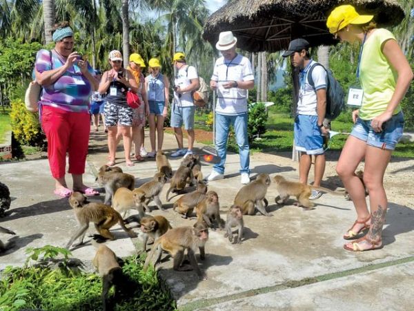 Private Tour Monkey Island And Ba Ho Waterfall Nha Trang