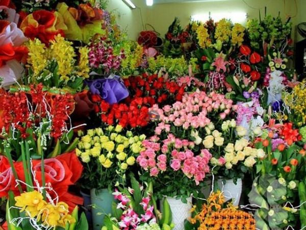 Flower Shop Nha Trang