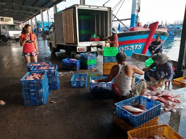Nha Trang Fish Market