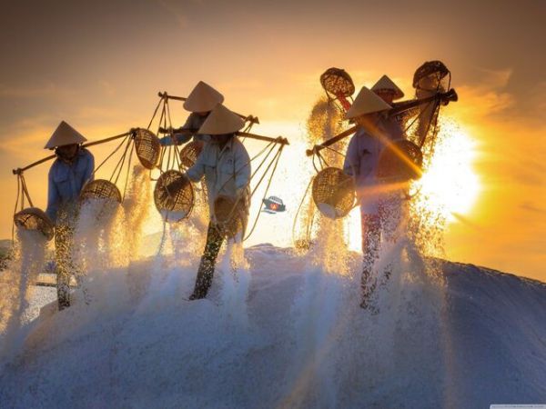 Nha Trang Salt Fields