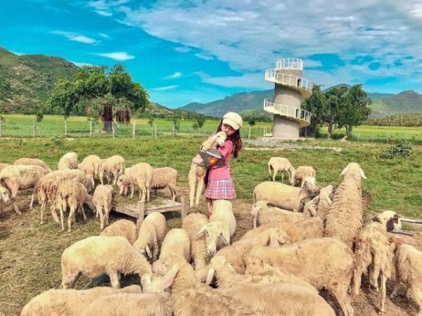 The Suoi Tien Sheep Field Cam Ranh