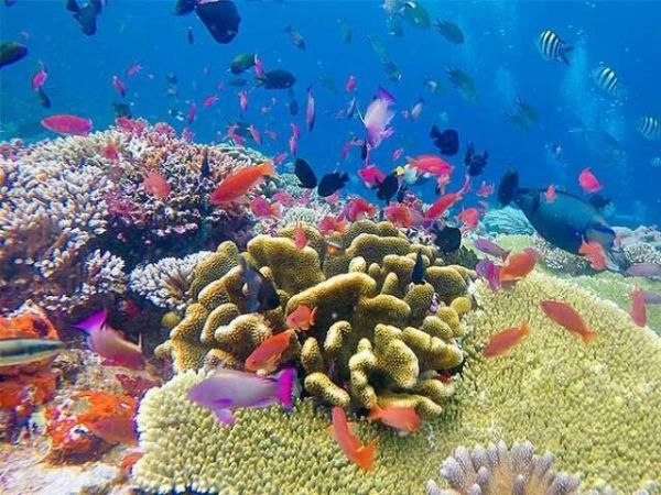 Nha Trang Snorkeling Tour