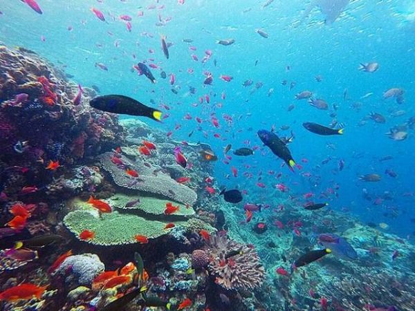 Nha Trang Snorkeling Tour
